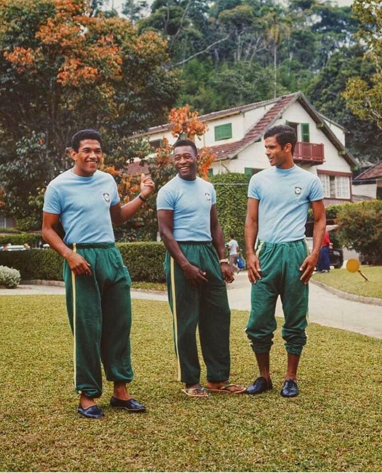 robertmdaws's tweet photo. GARRINCHA, PELE , BRITO 🇧🇷 1966