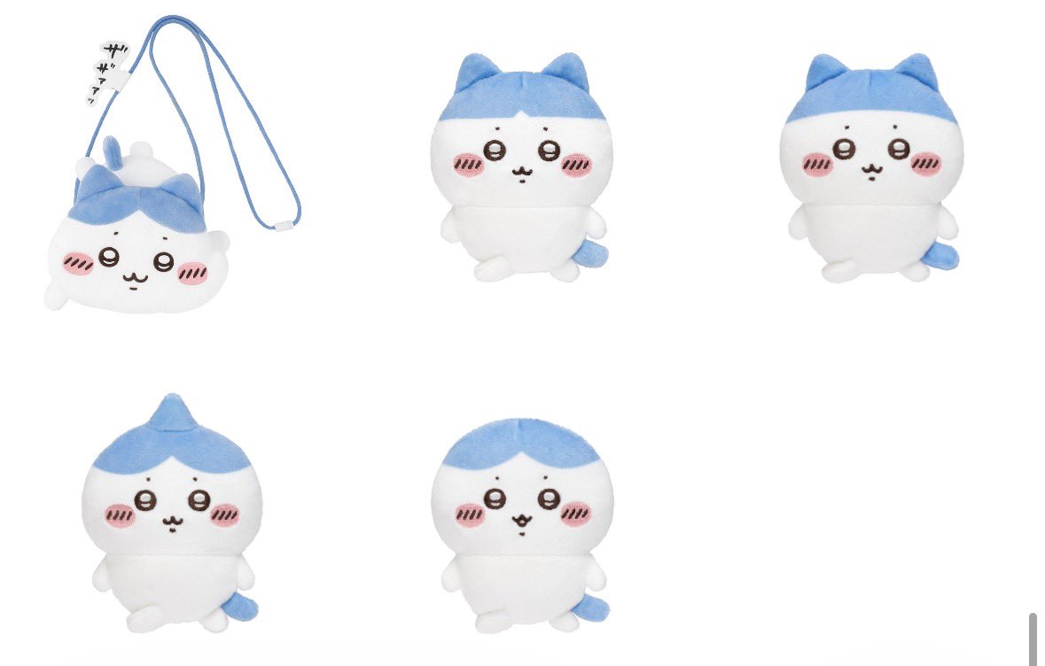 もち🐼 tweet media