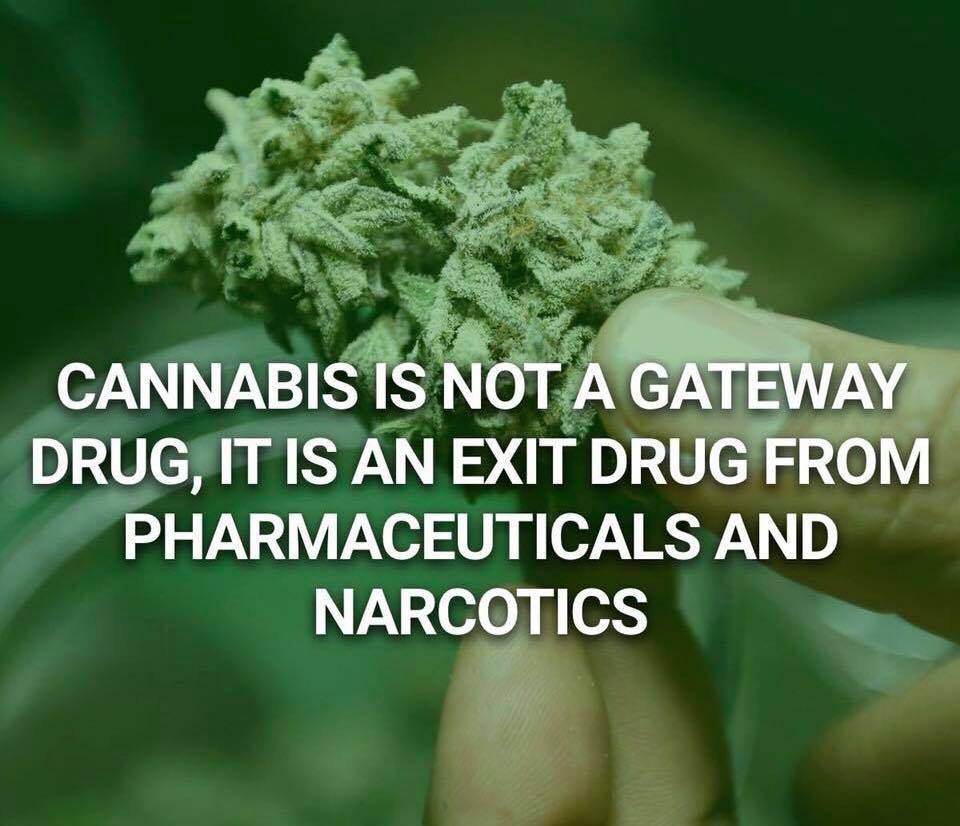 CannaWorld4's tweet image. 