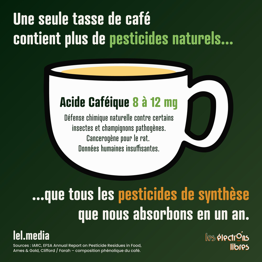 Nous consommons environ 15 000 fois plus de pesticides naturellement produits par les plantes que de pesticides de synthèse.

Et leur toxicité n’est pas moindre.

L’acide caféique, par exemple, est classé dans la même catégorie que l’acétamipride concerné par la loi Duplomb.