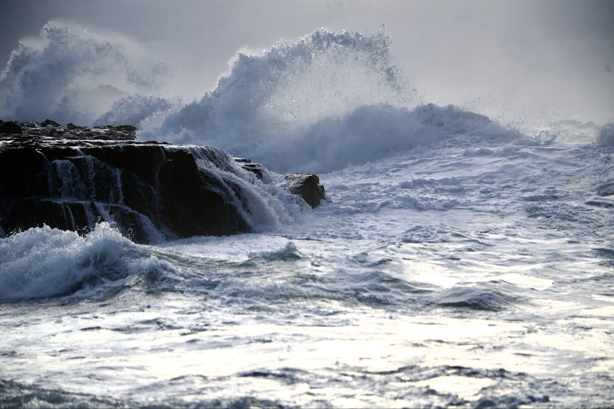 Greg Pitt tweet media