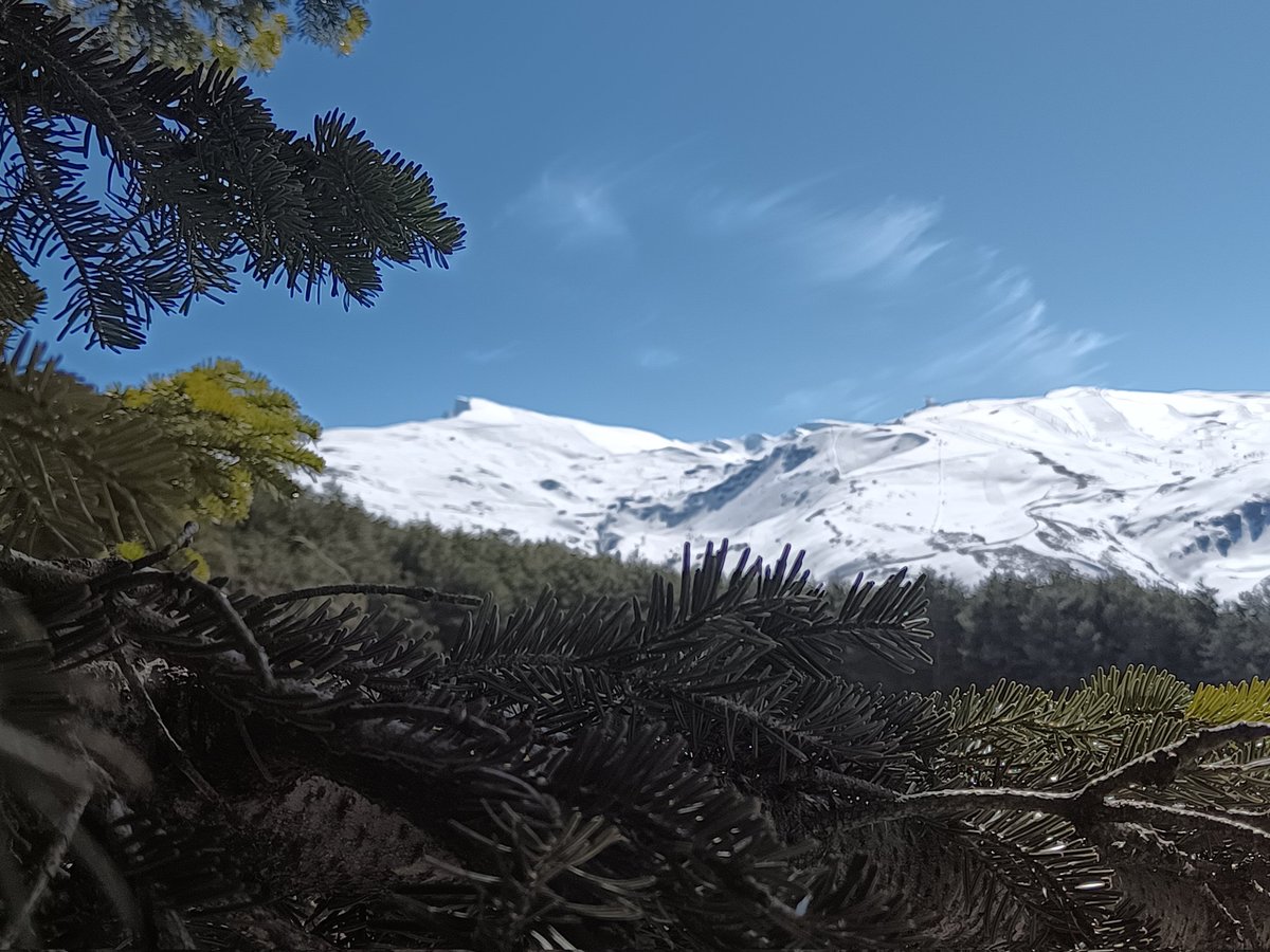 ISRAEL DE  RUS tweet media