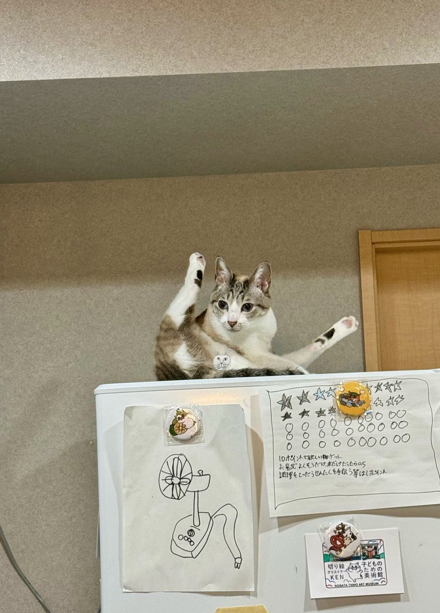 なみそ📕KEN/書籍重版！感謝📙 (@omochi_nam01) / Posts / X