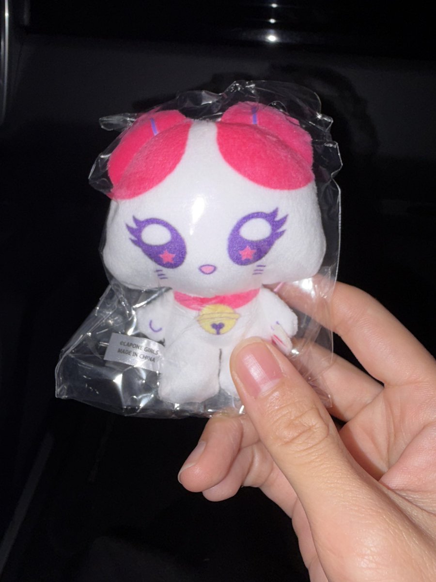 野良猫 tweet media