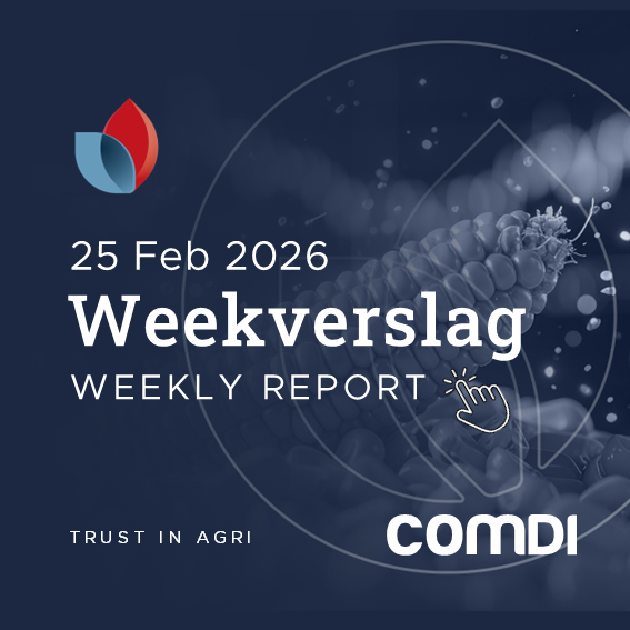 comdiagri's tweet photo. Die nuutste WASDE verslag is bekend gemaak.

Lees meer hier -https://t.co/R36Te6fhrD

#COMDIAgri #JSE #Trading #Investment #AgriculturalMarket #Boere #Farming #GrainTrading #SAFEX #Weekverslag #landbou https://t.co/riU1xitl77
