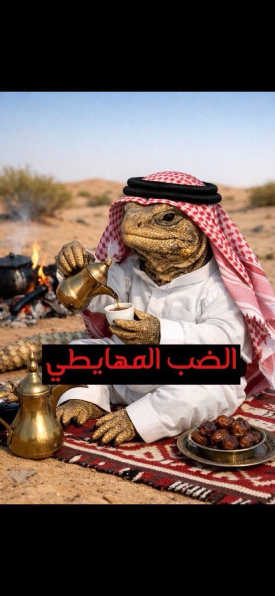 ALTHEEB 🇦🇪💛 الذيــــــــب 𓃵 (@theebdxb) on Twitter photo 