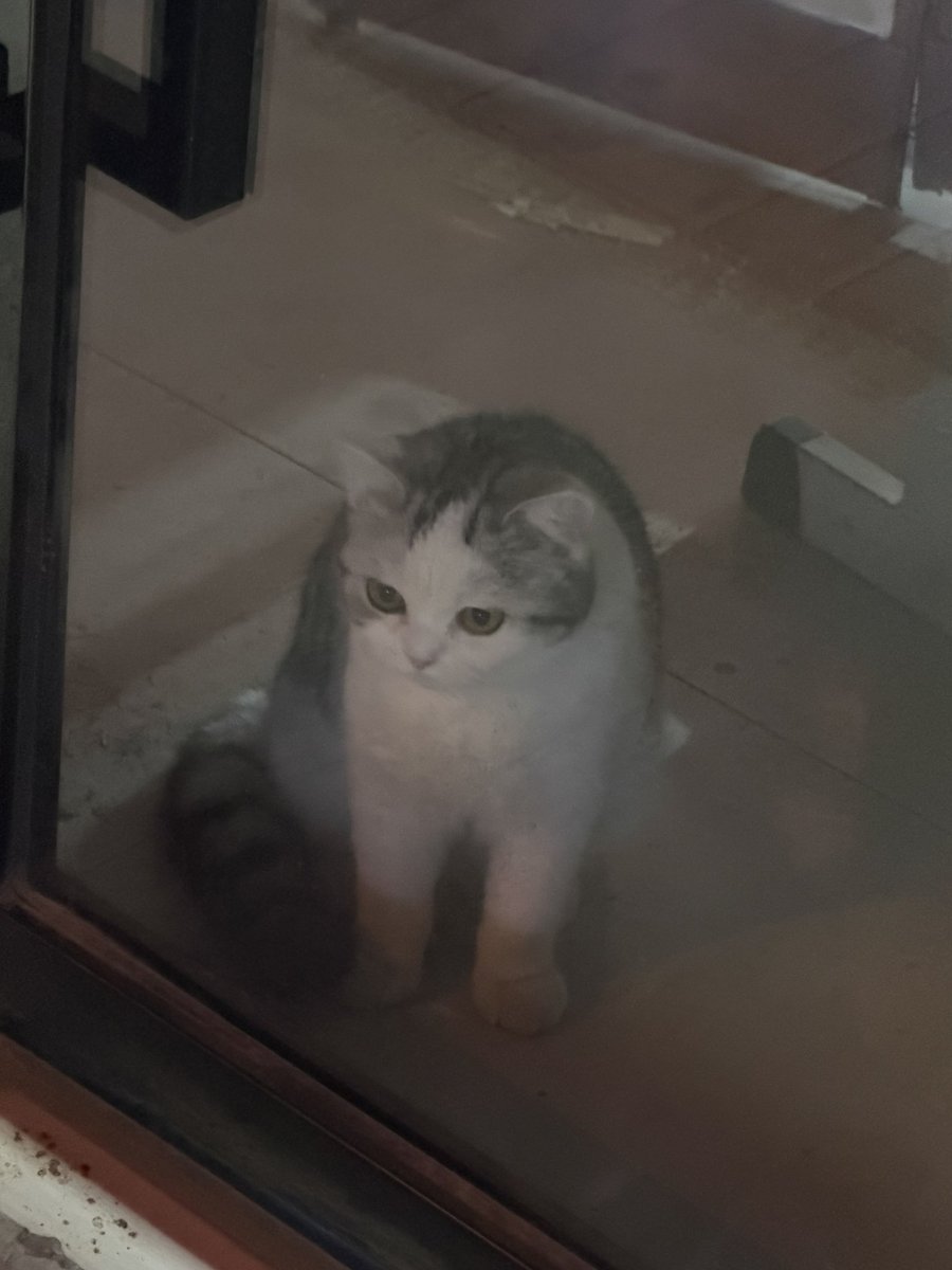 rep（side C） tweet media