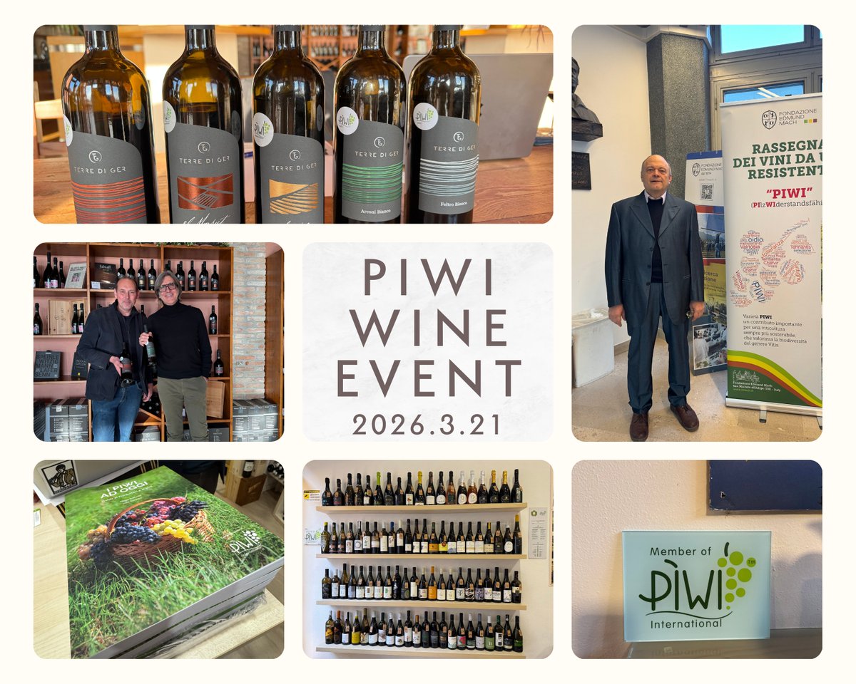 JVAWINE's tweet photo. 【PIWI最前線｜3/21開催】

気候変動時代のブドウ栽培をどう考えるか？

🇮🇹 イタリアFEM研究者
🇮🇹 PIWI生産者
登壇決定。

✔ 育種戦略
✔ 有望品種
✔ 市場の反応
✔ 試飲あり

📍 上田＋オンライン
🎫 無料（事前登録制）

▶ https://t.co/94TvxceK1I

#PIWI #日本ワイン #ブドウ栽培 #JVA https://t.co/01kJFp0tQz