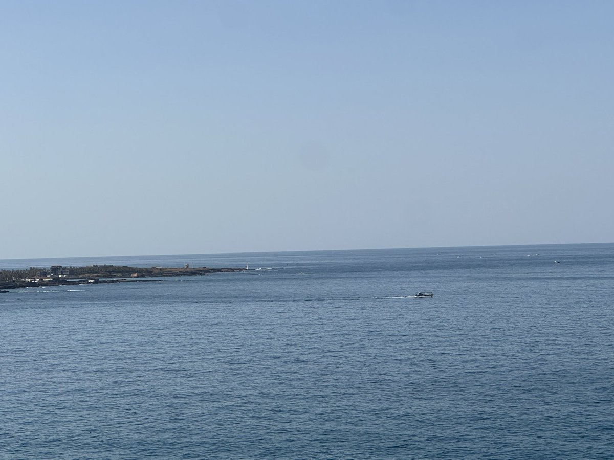 ters20033's tweet photo. 제주 함덕 고씨네 횟집 방문기 🐟

테이블에 앉자마자
새우회 한 판, 방어회 한 판, 성게알, 해초, 각종 밑반찬이
눈앞에 펼쳐지는데

그 순간 내 위장이 말을 걸어옴

위장: "야"
나: "응?"
위장: "저거 다 우리 거야?"
나: "응"
위장: "..."
위장: "나 오늘 최선을 다할게"

---

새우회를 한 점 집어 입에 넣는 순간

위장: "이거... 살아있어"
나: "응 방금 잡은 거래"
위장: "나 제주 이민 올게"

---

고등어회와 갈치회까지 접시에 올리니까

위장: "야 잠깐만"
나: "왜"
위장: "나 지금 감당이 안 돼"
나: "성게알도 있어"
위장: "...그냥 죽여줘"

---

성게알을 밥 위에 올려 한 술 뜨는 순간

위장이 갑자기 조용해짐

나: "왜 말 없어"
위장: "..."
나: "괜찮아?"
위장: "고씨네한테 고맙다고 전해줘"

---

함덕 바다 보면서 먹는 제주 생물회

이게 사람이 누릴 수 있는 최고의 사치인지
아니면 그냥 저녁인지

아직도 모르겠음

부럽죠? 🥹🐟

#고씨네횟집 #함덕횟집 #제주횟집 #제주맛집 #함덕맛집 #새우회 #방어회 #성게알 #제주회 #제주도여행 #제주여행 #먹스타그램 #회스타그램 #국내여행추천 #제주도맛집 #JejuFood #Jeju #KoreaFood #jejutravel #seafood #freshasfish