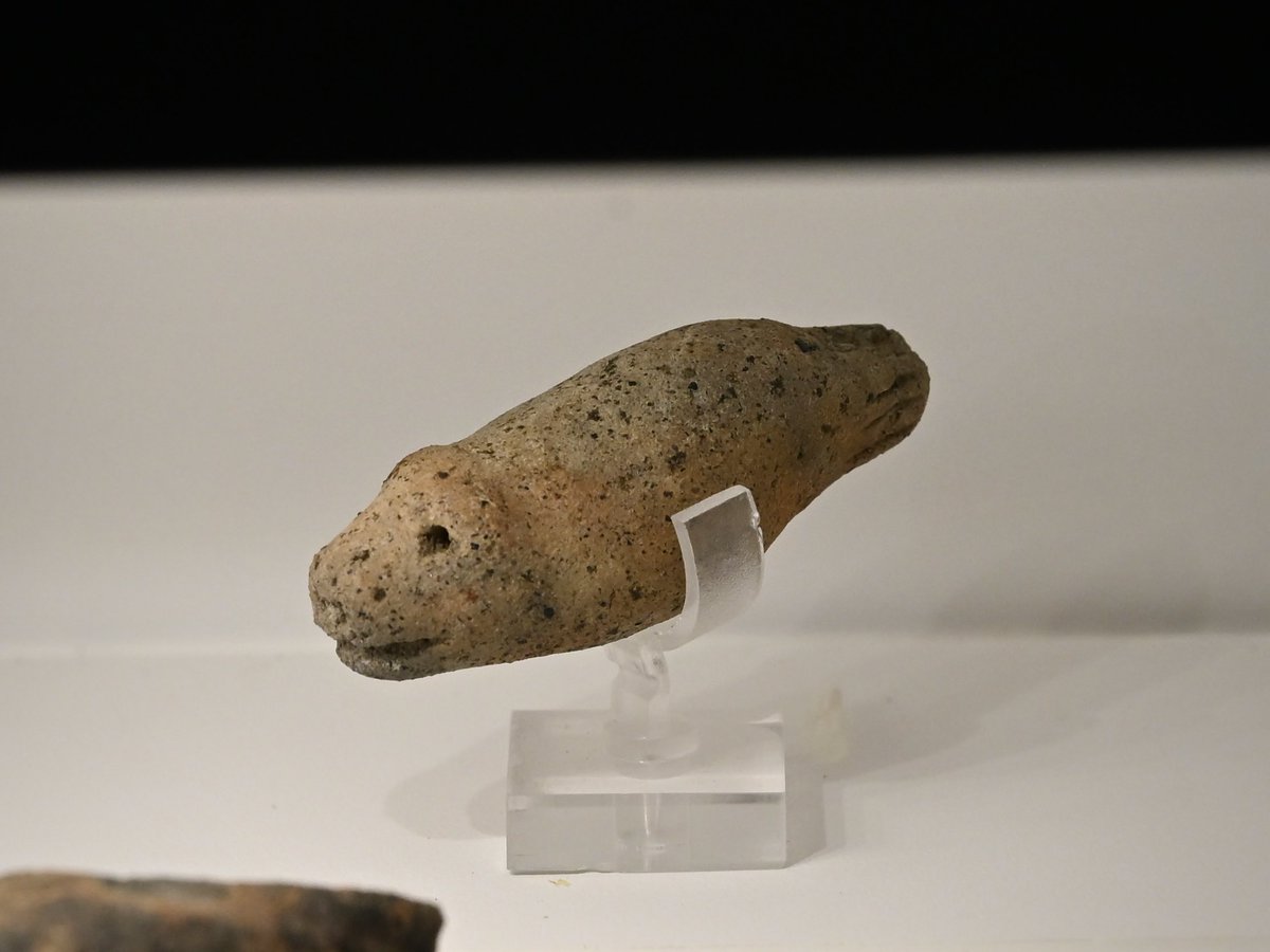 この角度にするとスピード感が半端ない

#モヨロ貝塚館