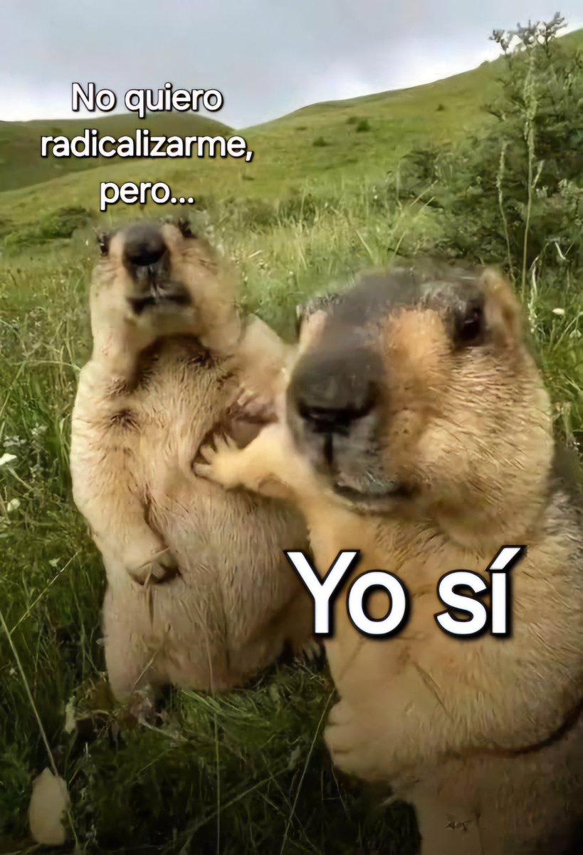 Tamiroff tweet media