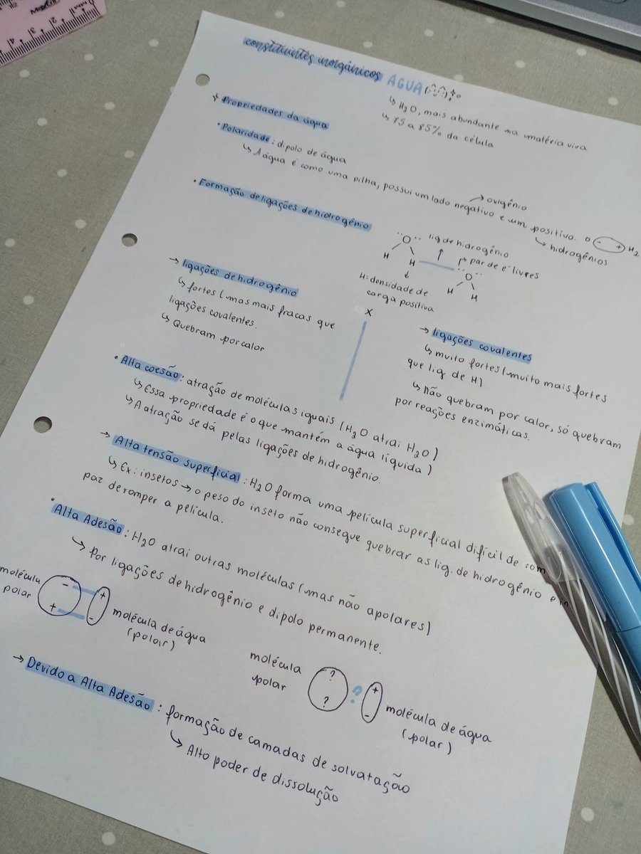 marilaw_'s tweet photo. os fiscais de metodo de estudos ficam ofendidissimos quando eu falo que só aprendo escrevendo https://t.co/7m1absgJbR