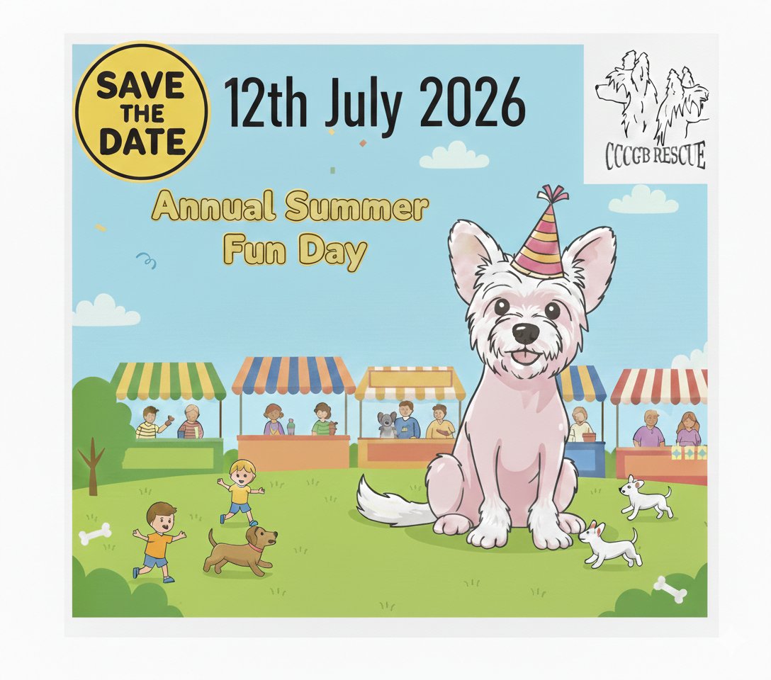 The Chinese Crested Club Of Great Britain Rescue tweet media