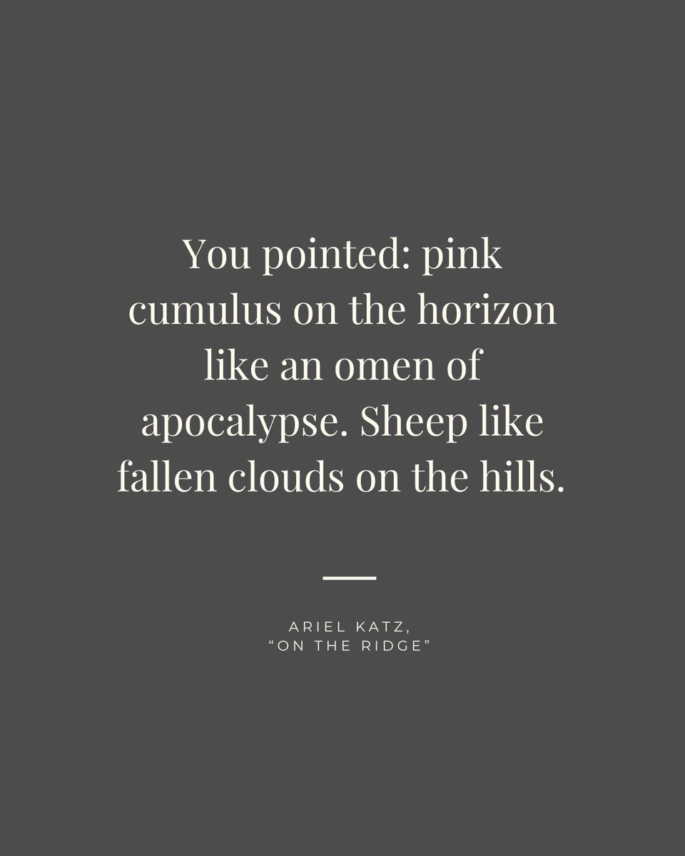 Cincinnati Review tweet media