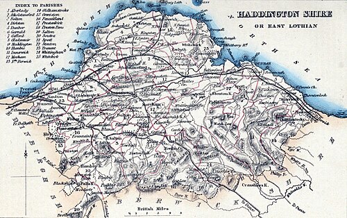 Bridei🏴🦌🦆🌲🪕 tweet media