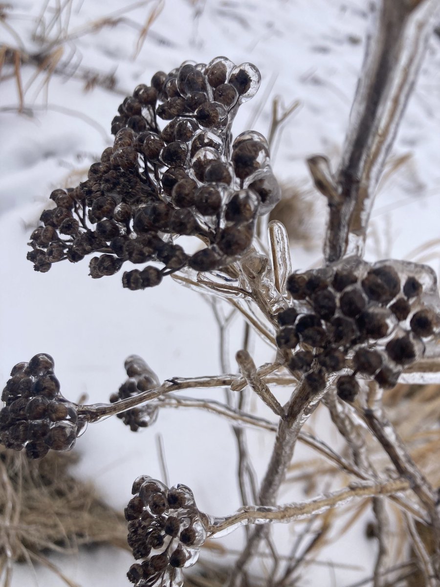 PJNezzz's tweet photo. This ice will melt. So will today's worries.
#naturespeed https://t.co/y3nAgGwfT7
