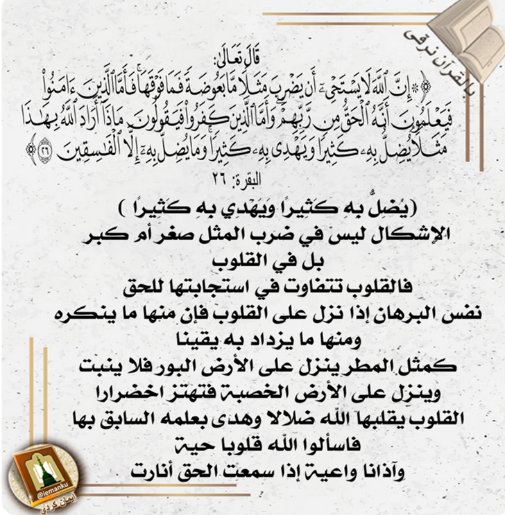 إيمان كردي tweet media