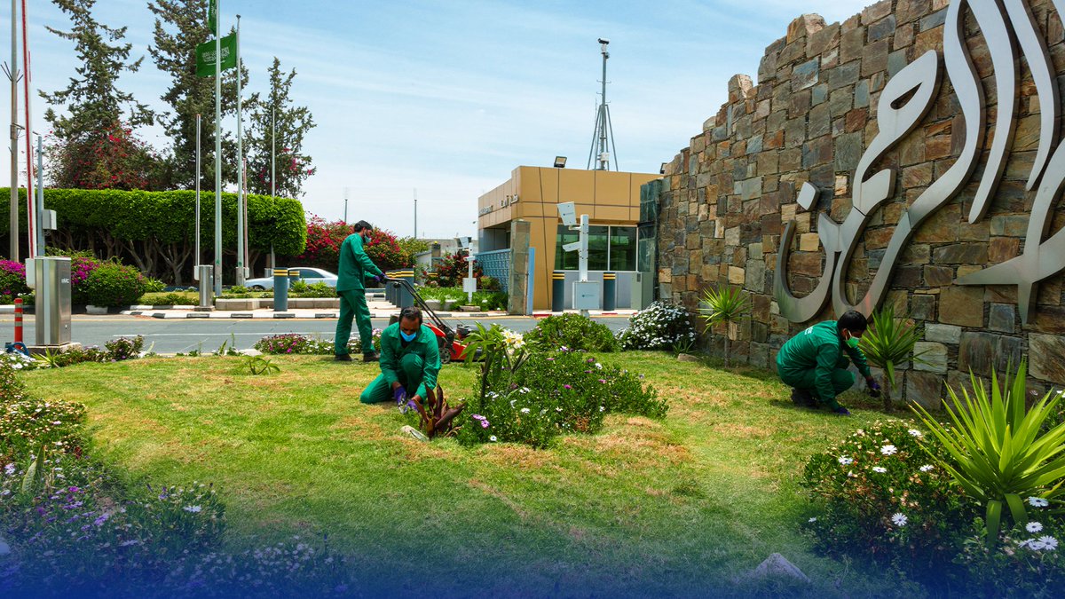 مجموعة سفاري القابضة tweet media