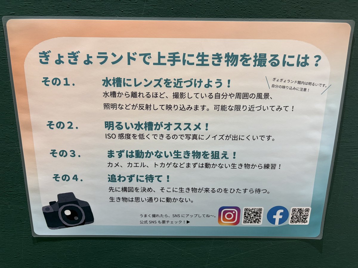 水族館で撮影するコツ教えてくれるの優しい