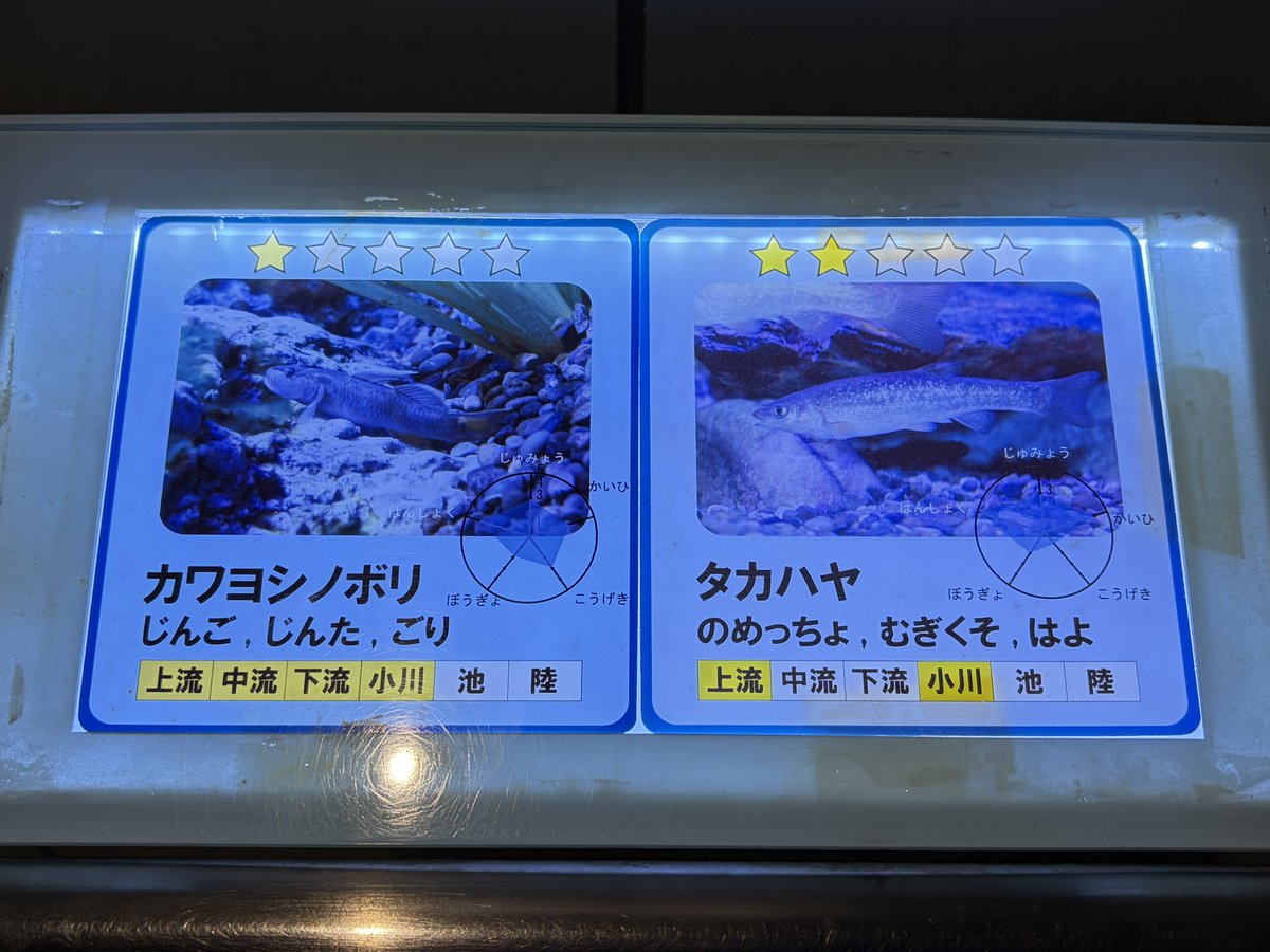 地方名も水族館で載せてくれるのとても良い