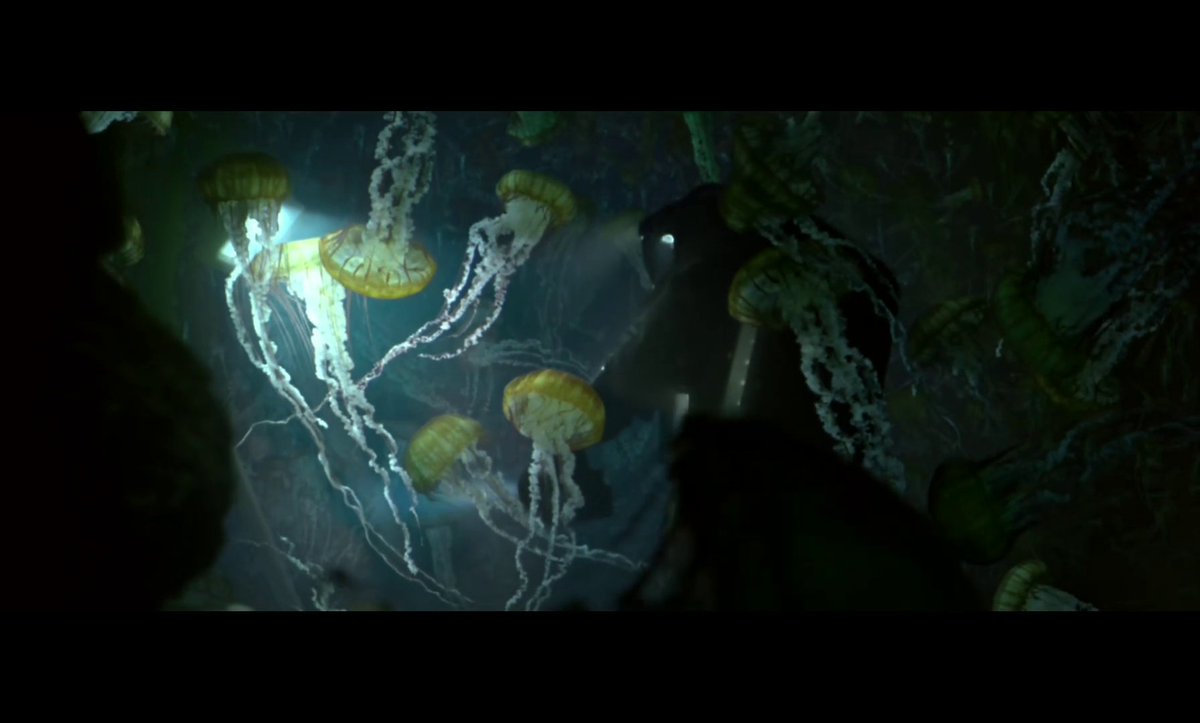 FrogwomanOrg's tweet photo. A female deep-sea diver gets attacked by jellyfish?!?!
Check out the video on my website:
https://t.co/qadYUY8FQM
#scuba #diving #scubadiving #underwater #frogwoman #femalediver #scubaperil #wetsuit #scubagear #jellyfish #sphere #ffm https://t.co/E3PS9ji6Ss