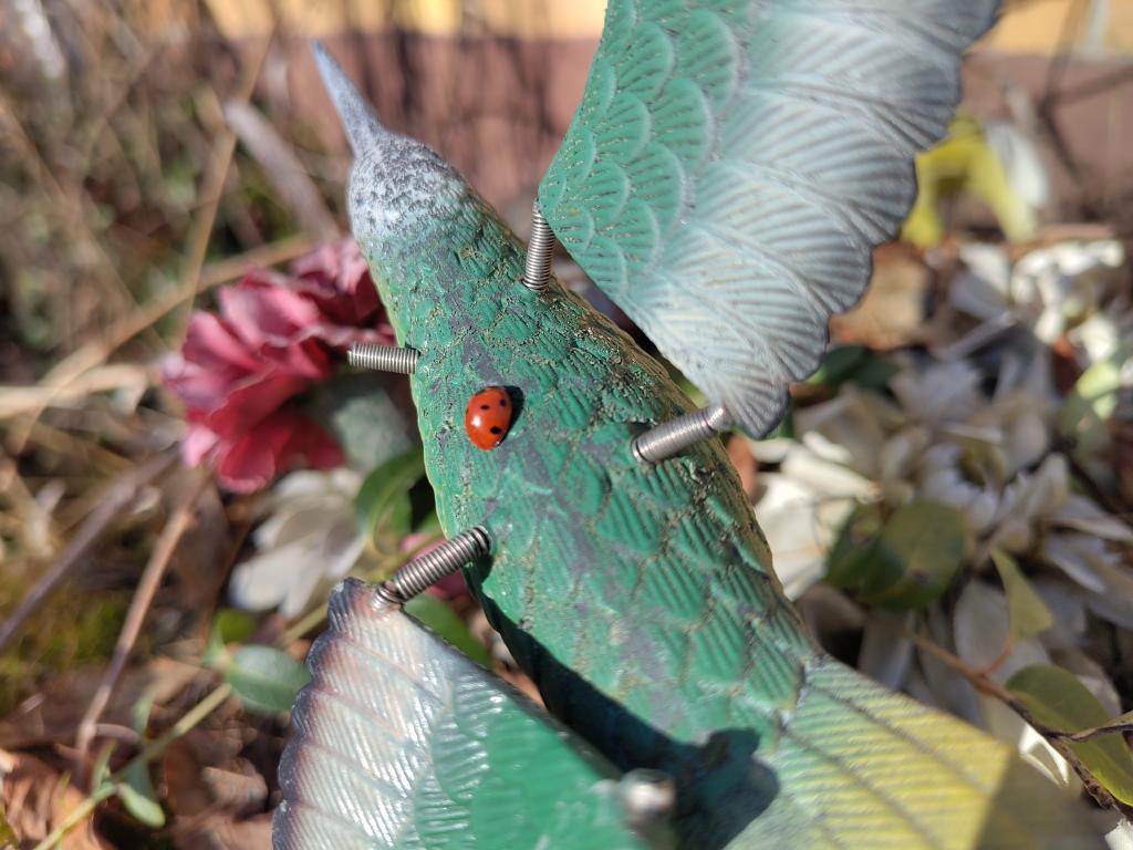 Clewin Stÿrer tweet media