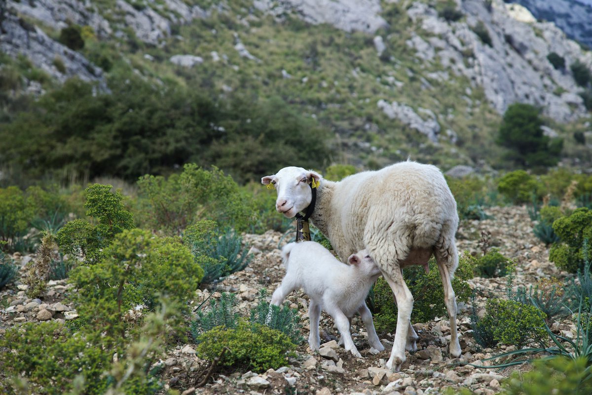 CEIGRAM-UPM tweet media