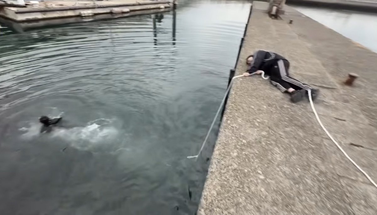 猿文字一平🍄【警備隊🍄】 (@sarumonji_japan) / Posts / X