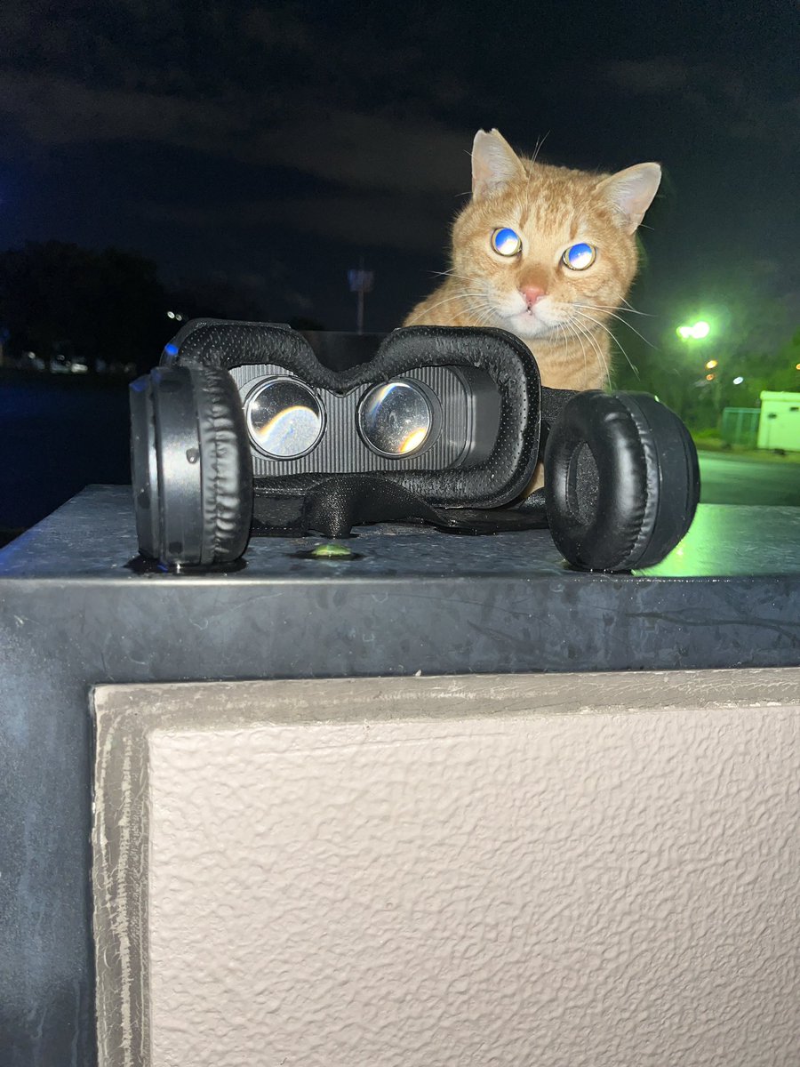 かめたんです 暗闇の門の上にヘッドフォンみたいなのが置いてあってフラッシュ撮影