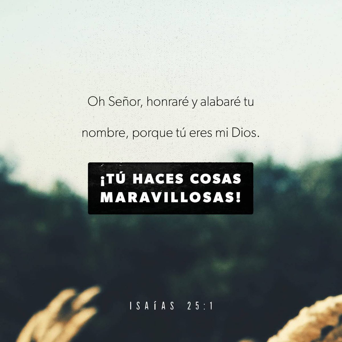 El eterno propósito de Dios era que el hombre gozara de la vida, y para que este propósito se cumpliera fueron destinados todos los recursos del cielo.