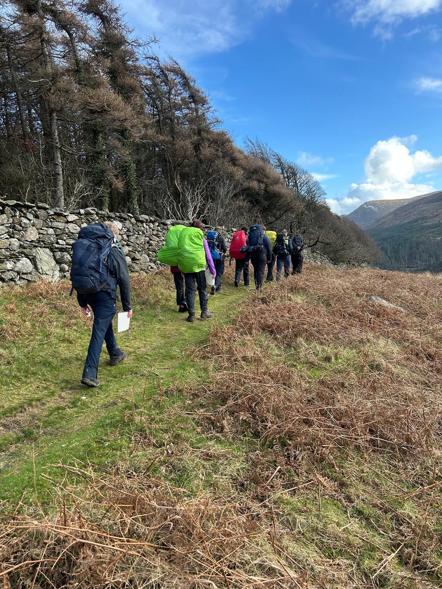 WallaceHigh tweet media