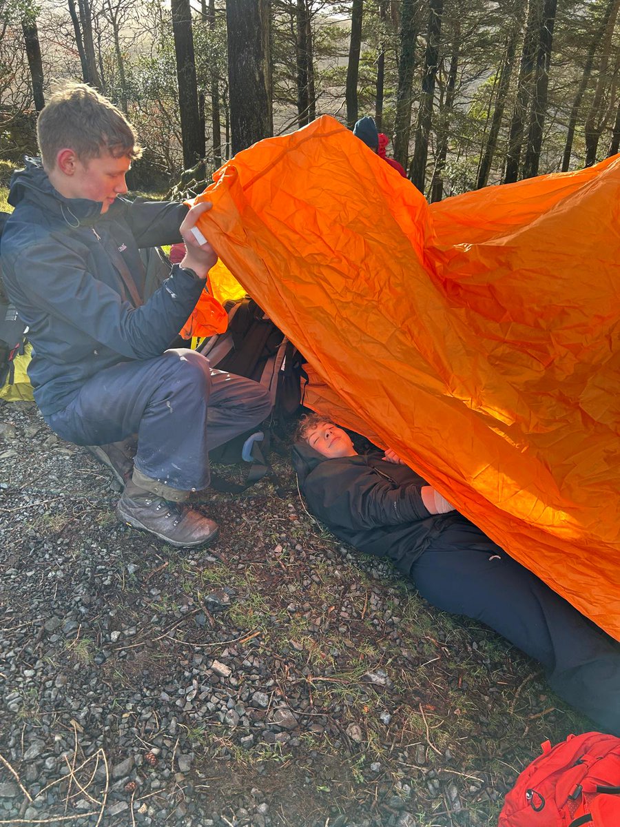 WallaceHigh tweet media