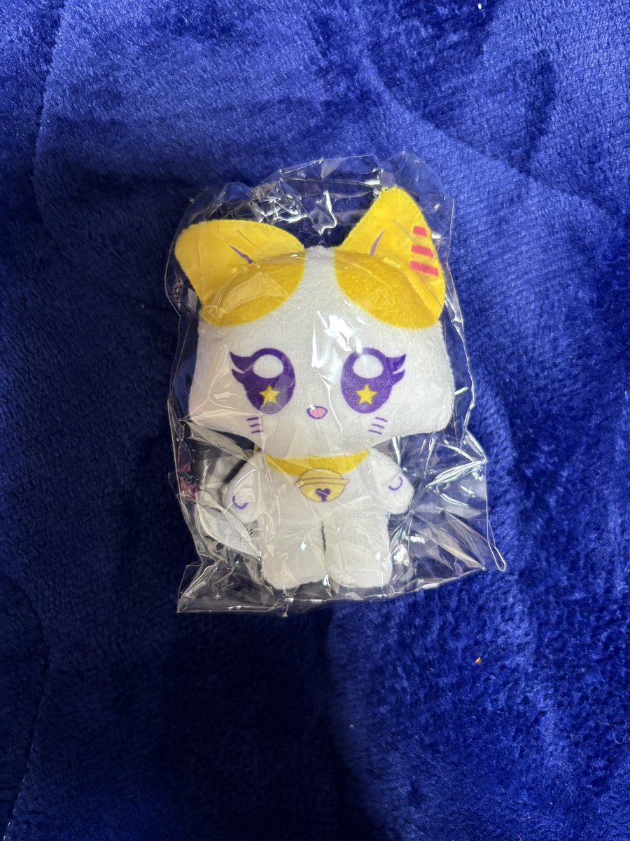 ゆめめ tweet media