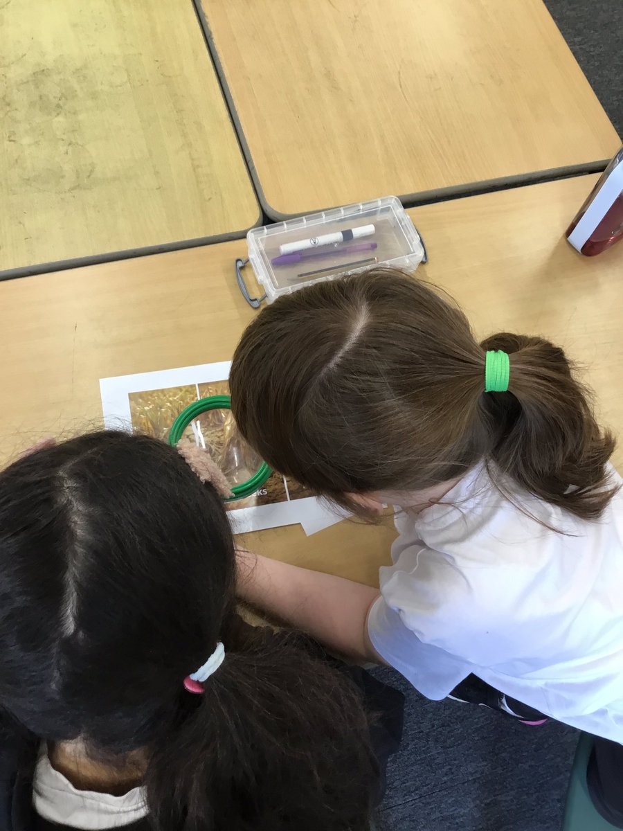 BentleyWestWS2's tweet image. Year 2 have enjoyed immersing themselves into their new text to inspire writing ~ Lila and the secret of rain. We were being detectives using our inference skills to explore the story setting and what the problem would be for the character, Lila. #BWWriting