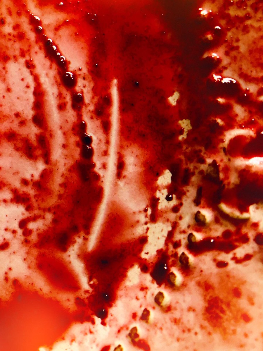 nakamuraayao's tweet photo. #art  #photography #photobook #dessert #blueberryjam https://t.co/zYEb1oMD3x