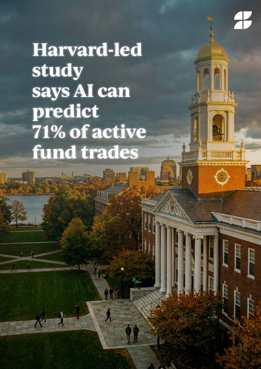 Borderless tweet media