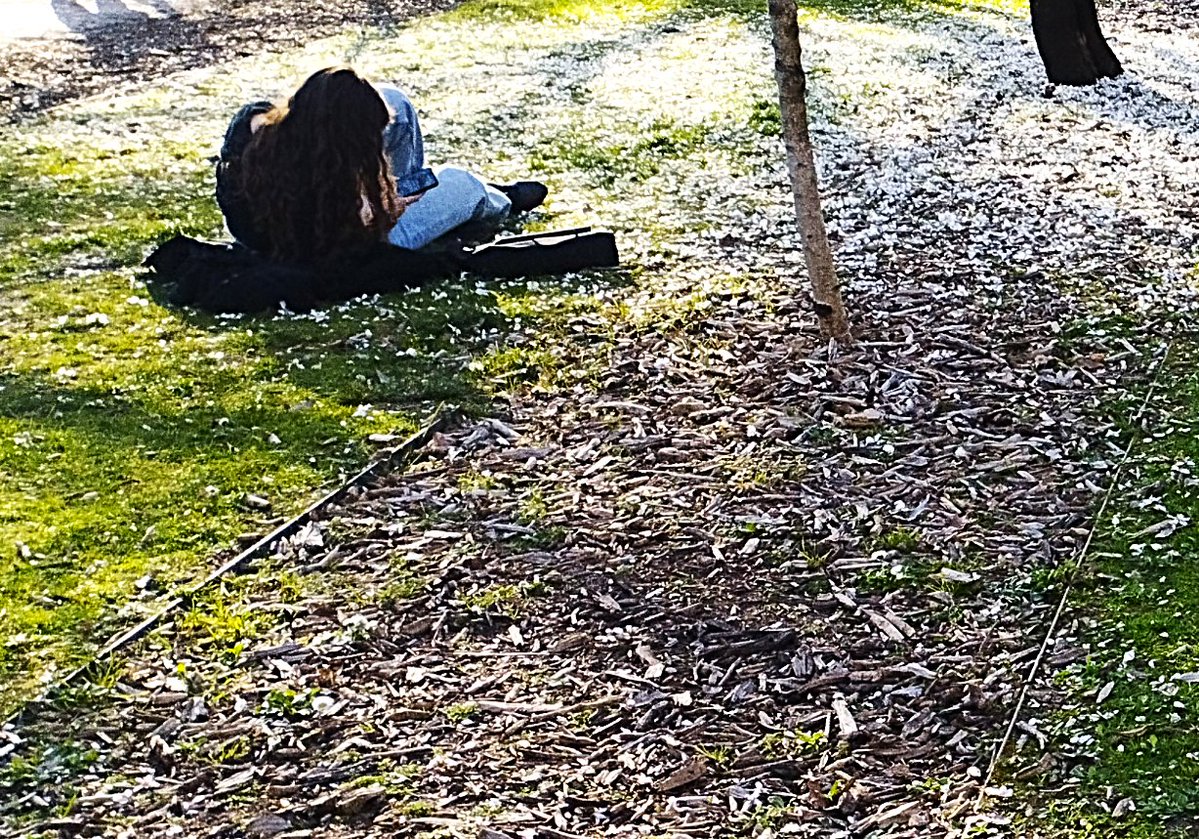 S. Maroto tweet media