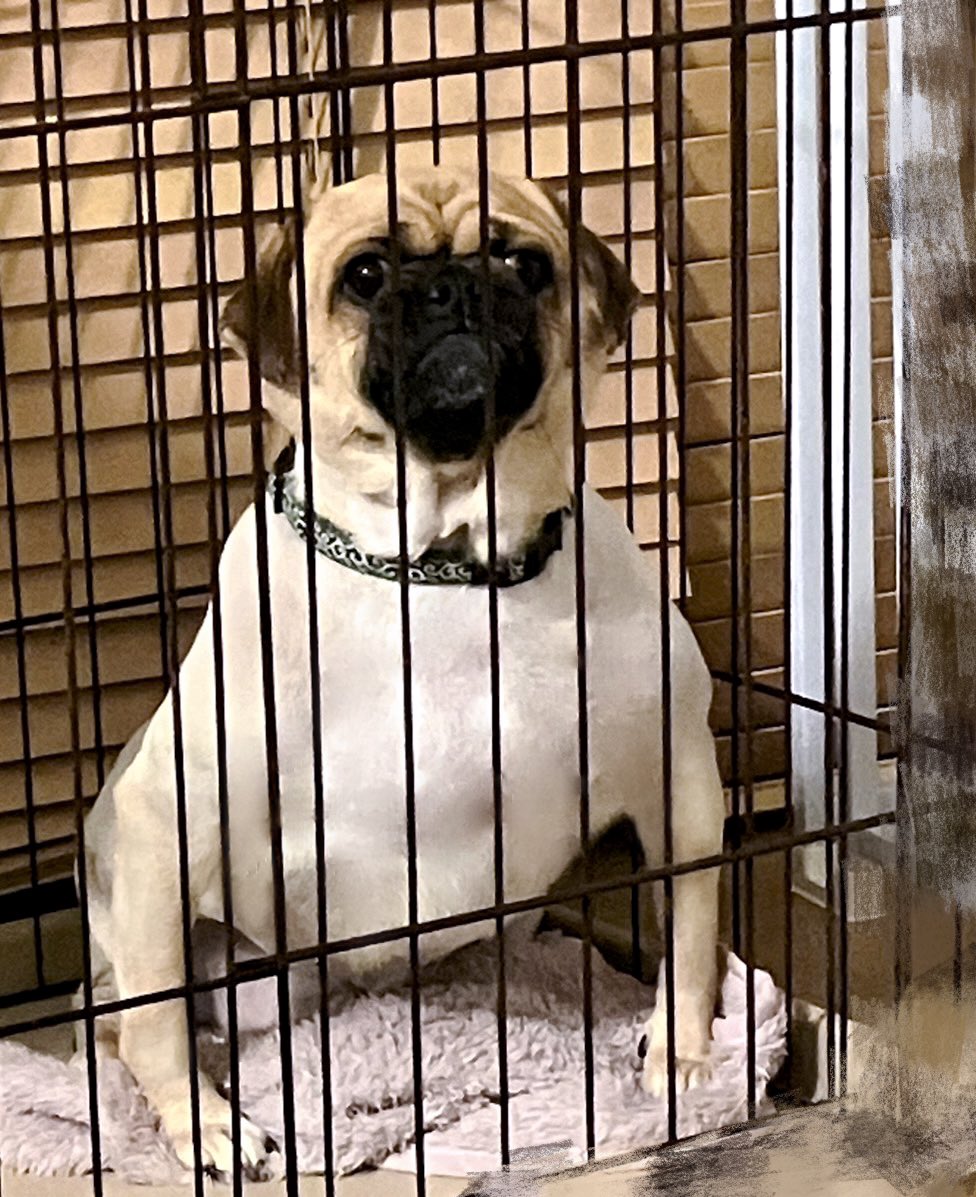 こーすけ (@Ko_suke_hello) / Posts / X