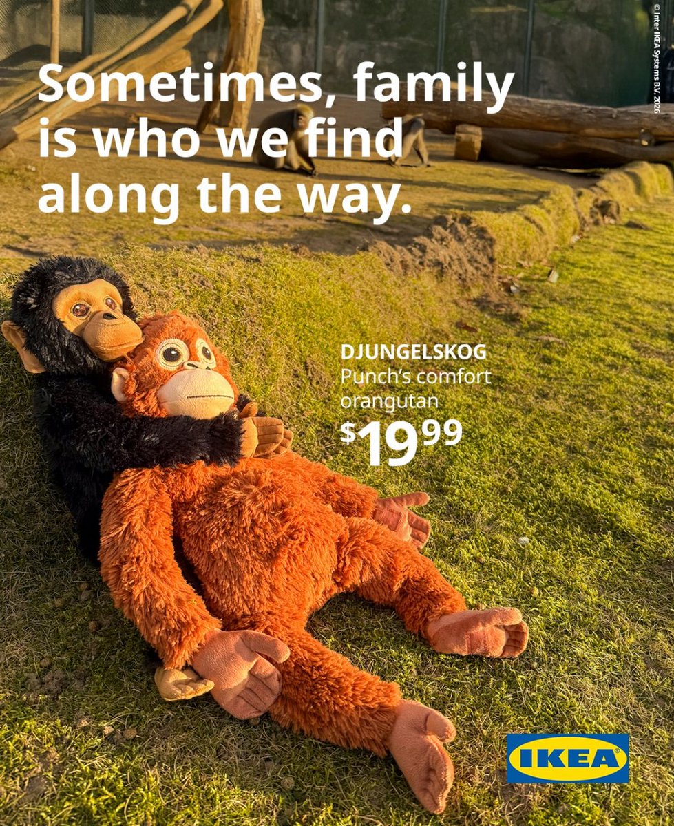 Satoshi Panza tweet media