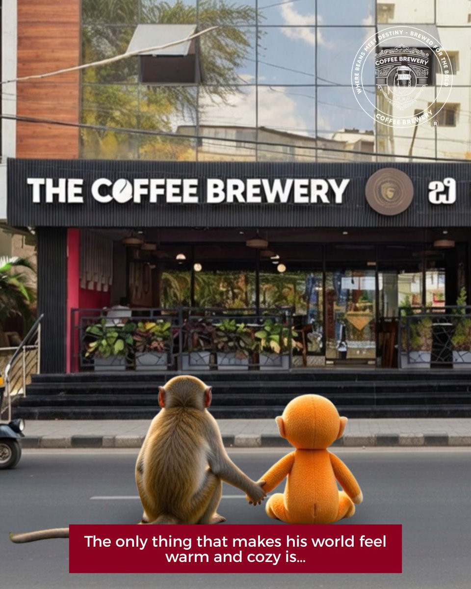 Coffee Brewery tweet media