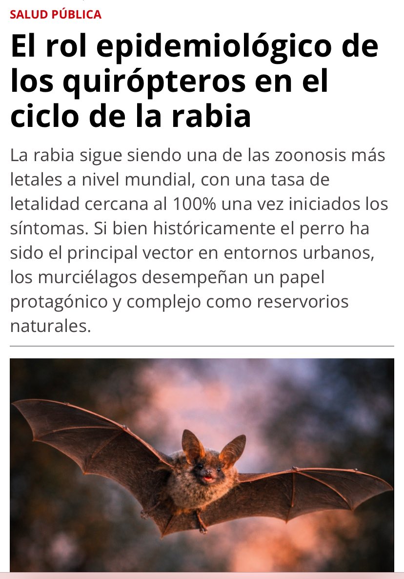 vetmarketportal.com.ar/nota/4910/el-r…