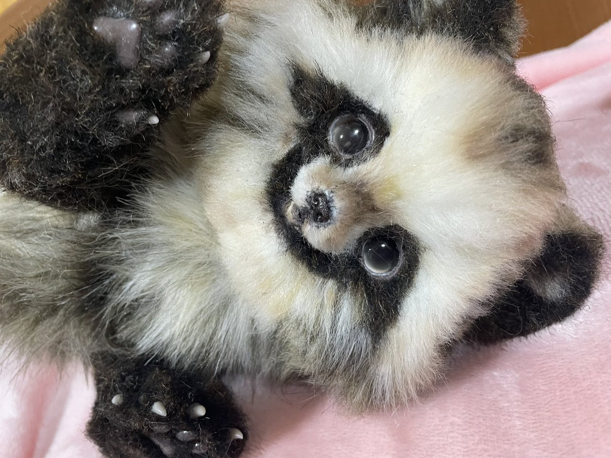 L-Art Doll (@LArtDoll) / Posts / X