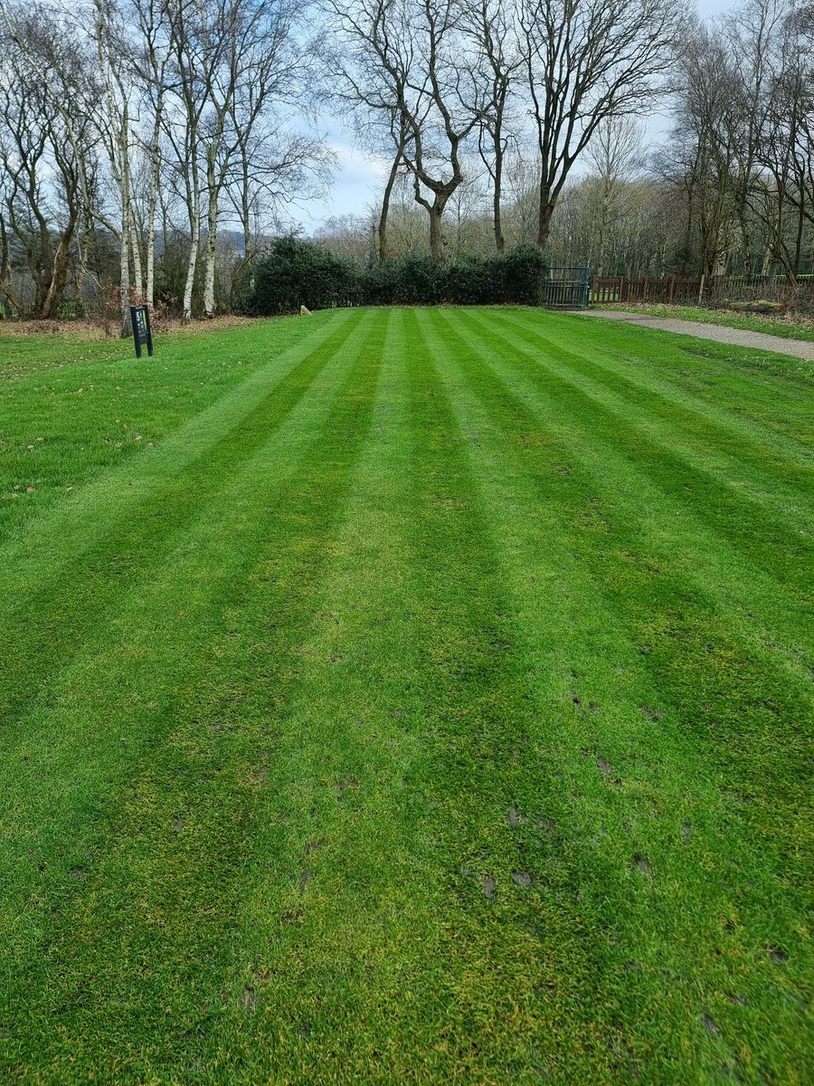 Lees Hall Golf Club tweet media