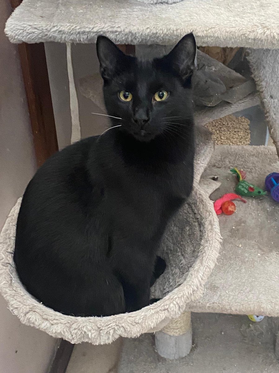 Marjorie Nash tweet media