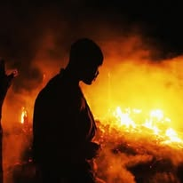 CTD Organization tweet media