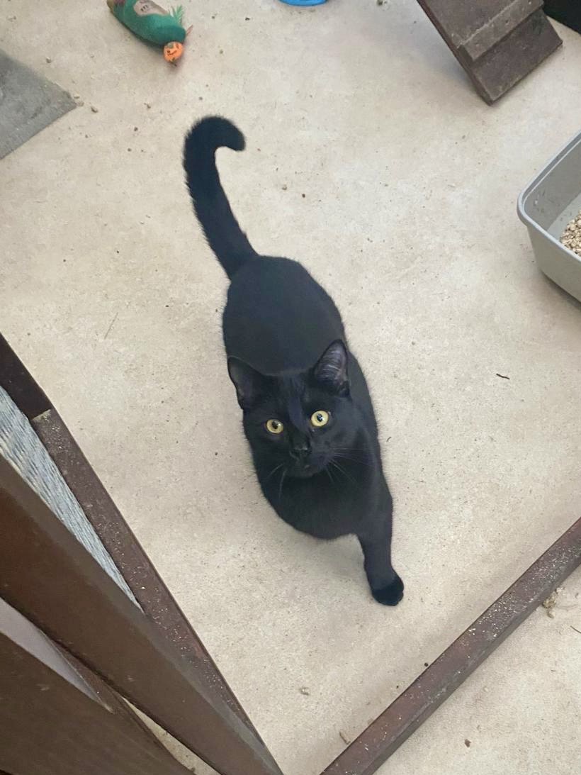 Marjorie Nash tweet media