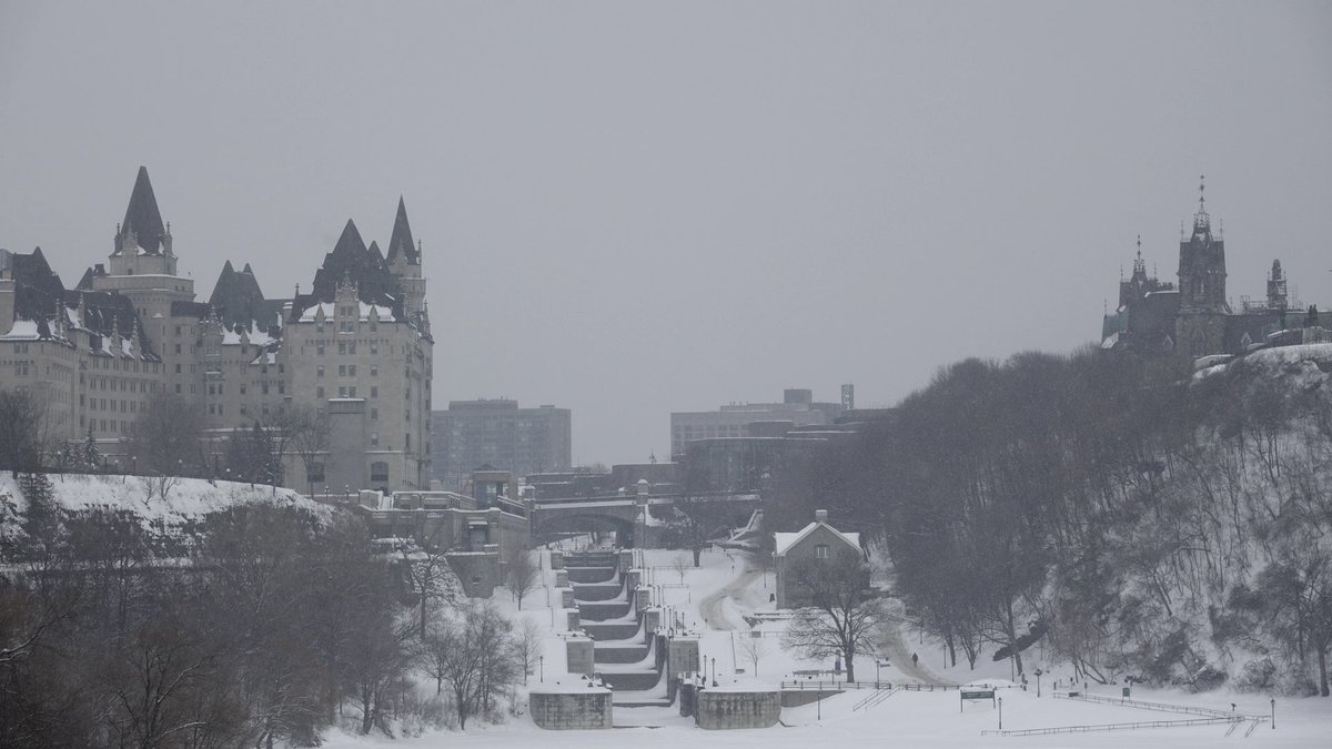 Ian Black tweet media