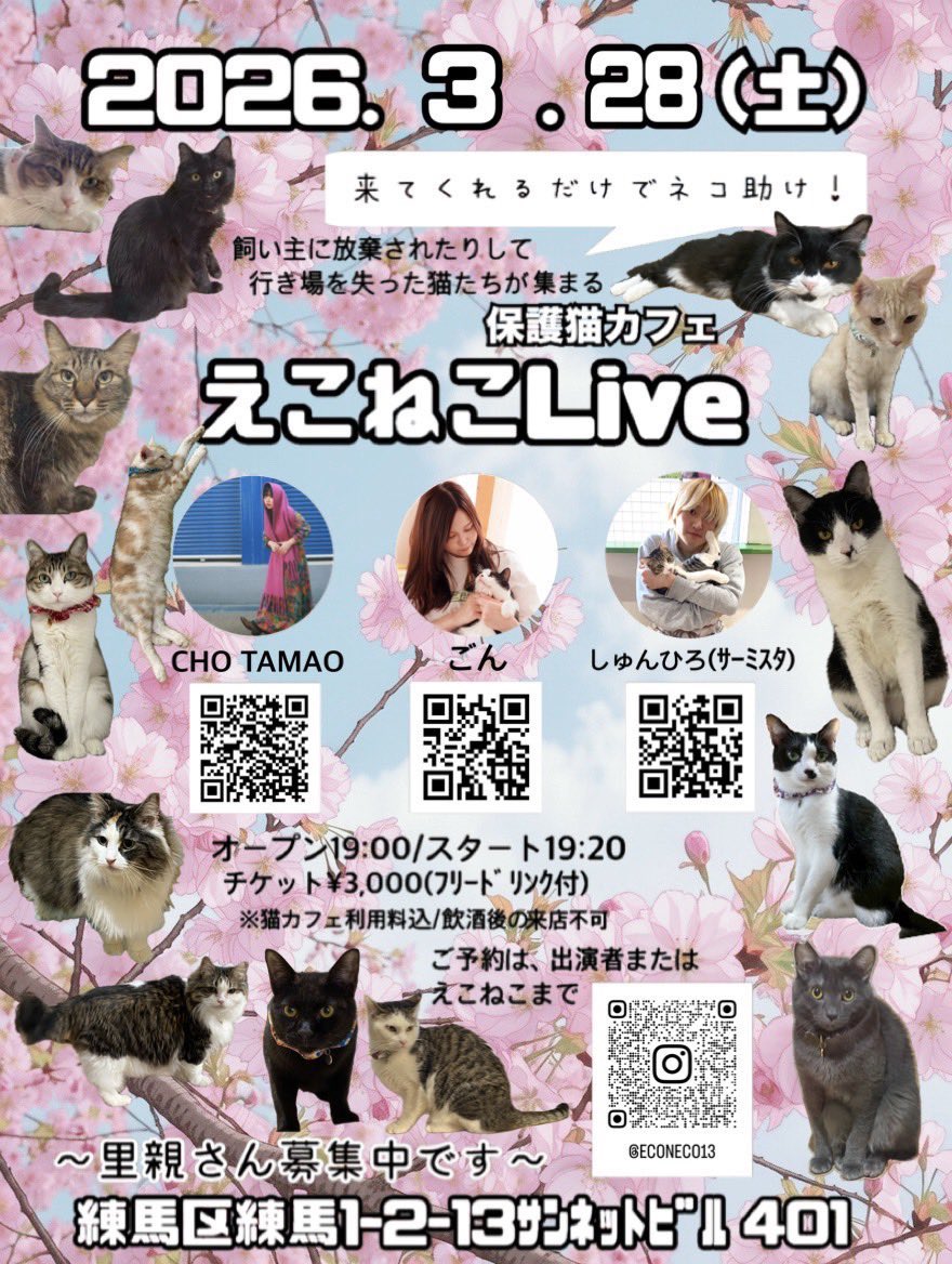 そうなんです、今週末も #保護猫カフェ えこねこLive🐱 演者さん、お客