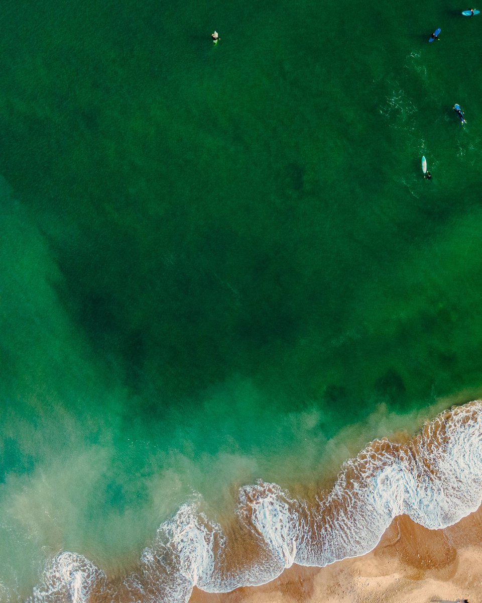 Necochea tweet media