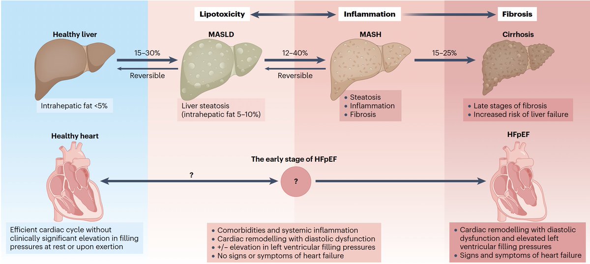 Marat Fudim, MD MHS tweet media